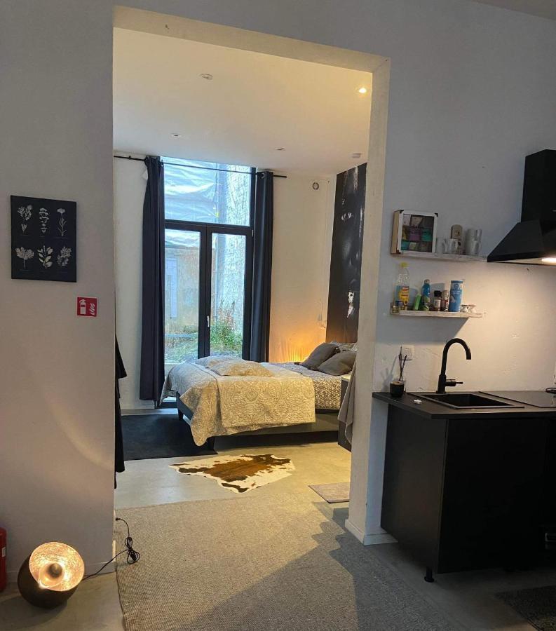 Garden Suite In City Center Антверпен Экстерьер фото